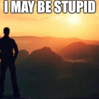 Stupid