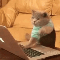Typing